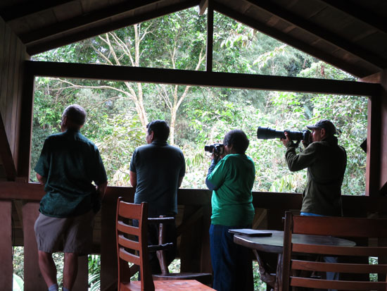 mindo casa divina birding.jpg