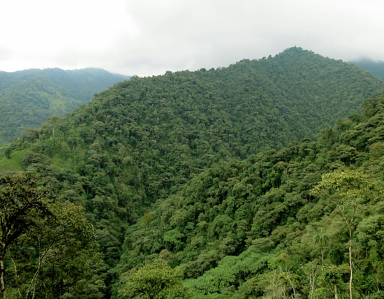 mindo mountains on road to mindo