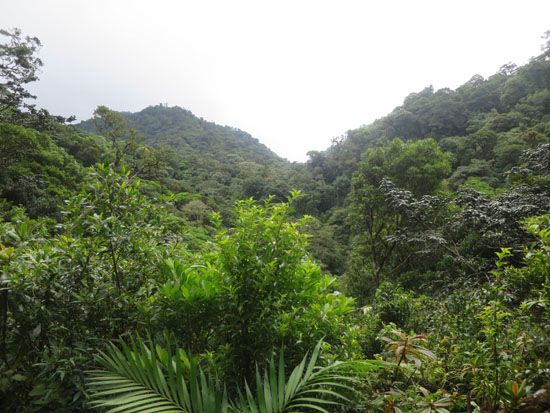 monteverde curi cancha hills