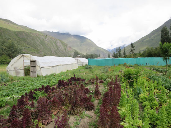 ollantaytambo el albergue