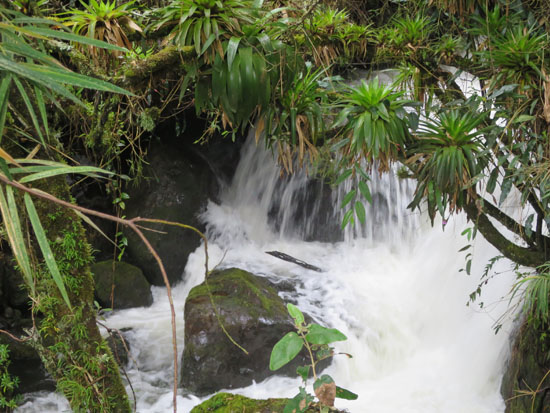 papallactahikewaterfall1.jpg