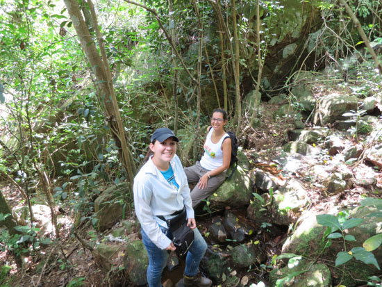 paty andrea forest