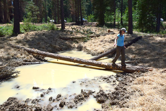 plumas national forest wetlands