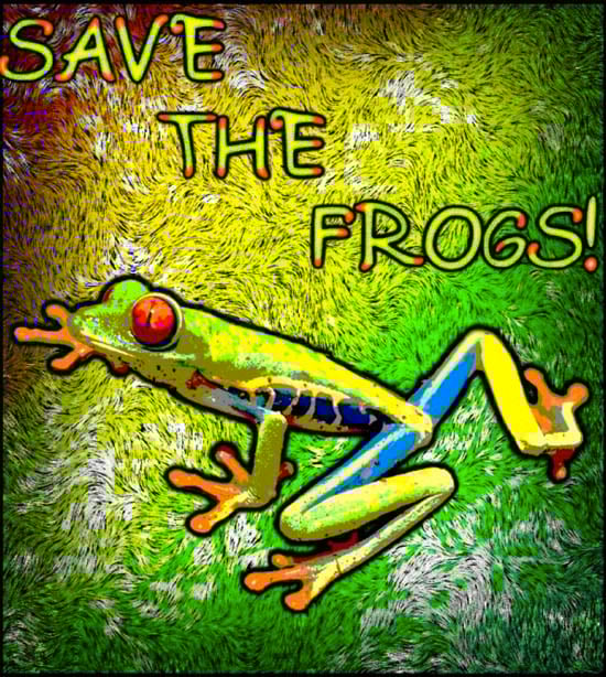 Frog Art by Raikoumoon