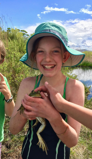 Amphibian Careers