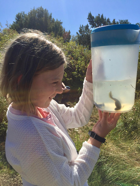 Young Herpetologists
