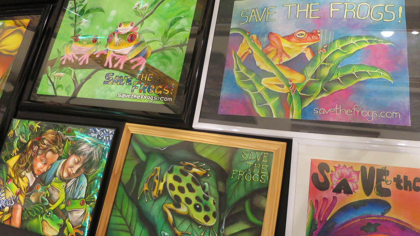 Frog Art at the SAVE THE FROGS! Education Center in Berkeley