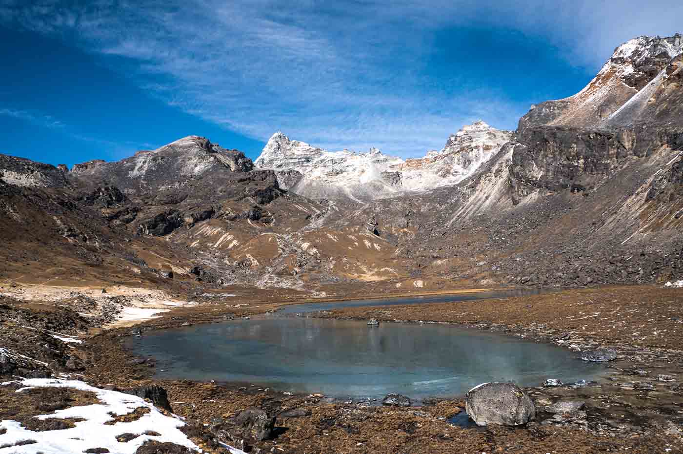 Nepal Lake Frogs Amphibians