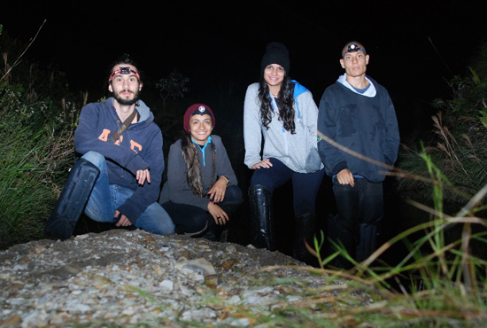 serra da lapinha frogs