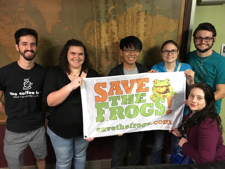 stf gainesville founding