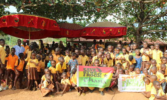 save the frogs ghana sui