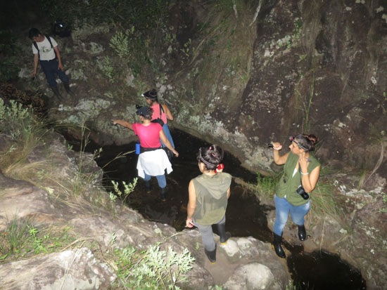 tobati frogging pond