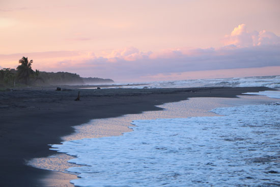 tortuguero beach sunset 4
