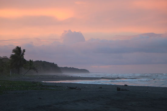 tortuguero beach sunset 6