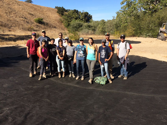 ucla wetlands