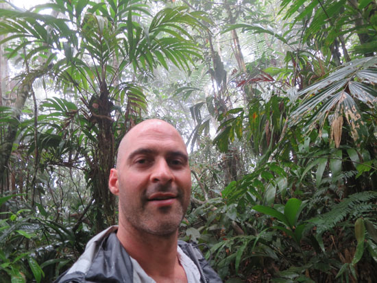 villa carmen kerry mirador jungle
