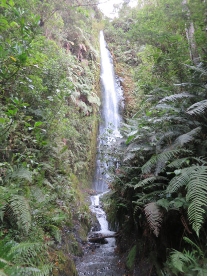 manu national park waterfall
