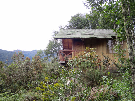 wayqecha cabin