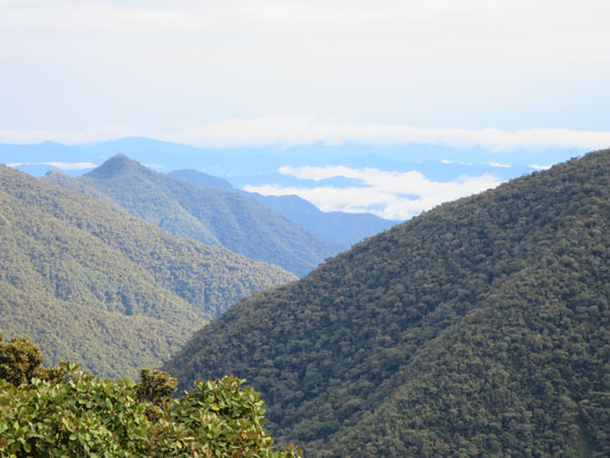 wayqecha view over kosnipata valley