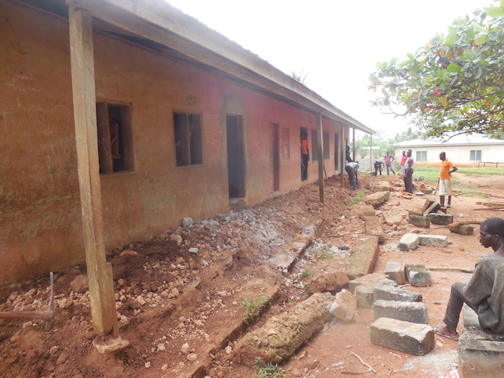 west-africa-amphibian-conservation-centre-6