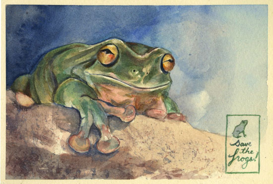 amphibian pet trade mortality